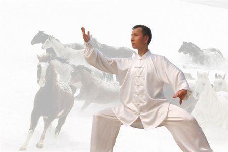 吴氏十六式太极拳怎么样