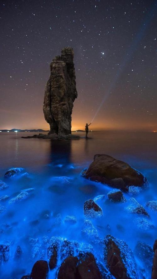 又一夜广场舞原唱