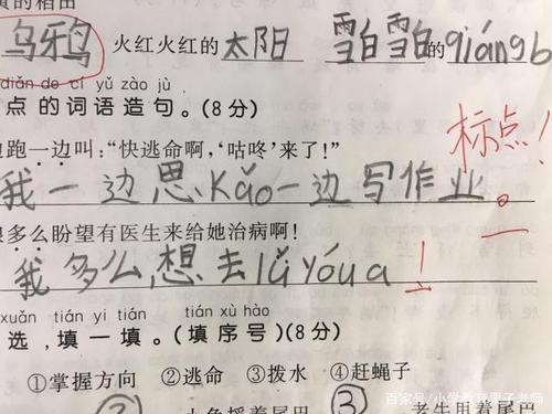 也能造句一年级一句话