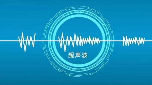 蝴蝶发出的是超声波还是次声波