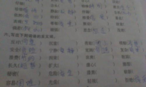 随便的反义词是什么