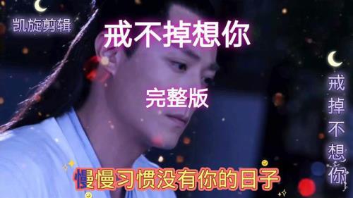 戒不掉想你歌词含义