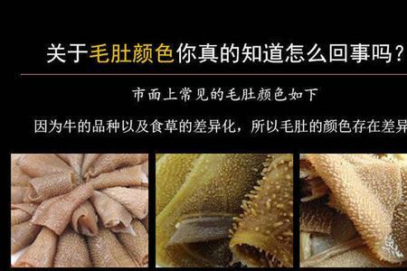 水发千层肚和水煮千层肚的区别