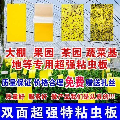 菜地防虫片有毒吗
