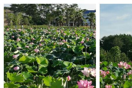 盛不住的意思