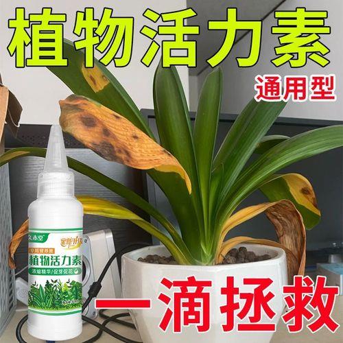 效果最强的植物活力素是哪个