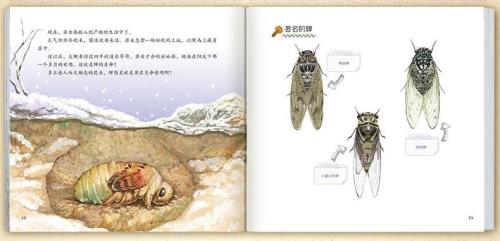 昆虫记蝉的生活习性