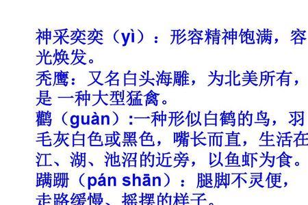 17课动物笑谈生字注音