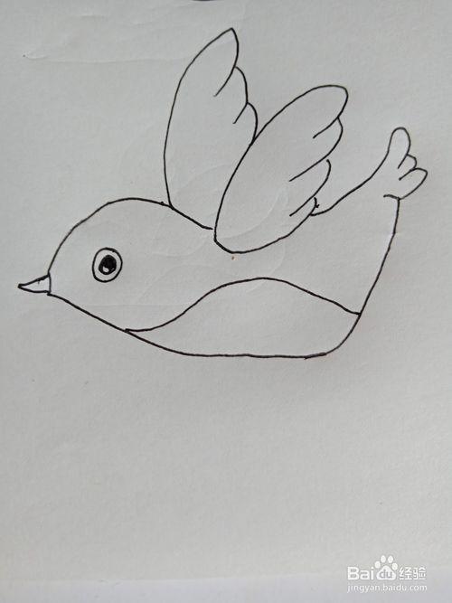 鸟一共多少笔画