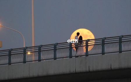 沐月光什么意思