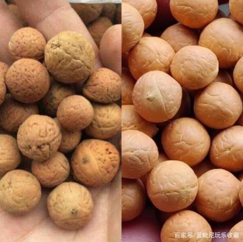 凤眼铁籽好还是实心籽好