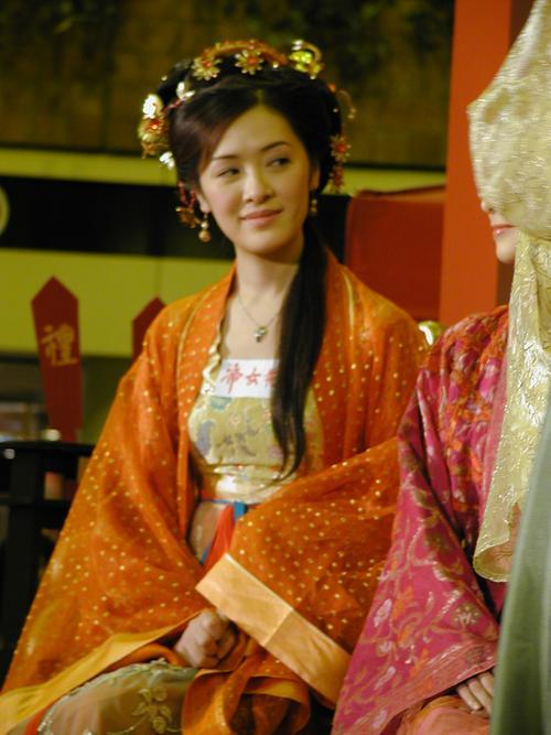 陈圆圆江山风雨情谁演的
