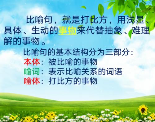 午时的花开了改为拟人句