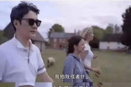 拉布拉多发情了配不上怎么办