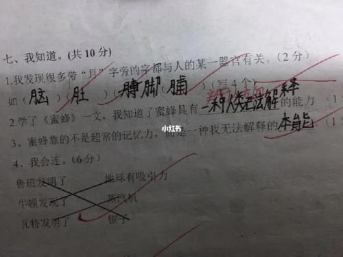 果然在最前面怎么造句