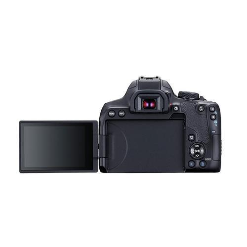 佳能5D1代能拍4k视频吗