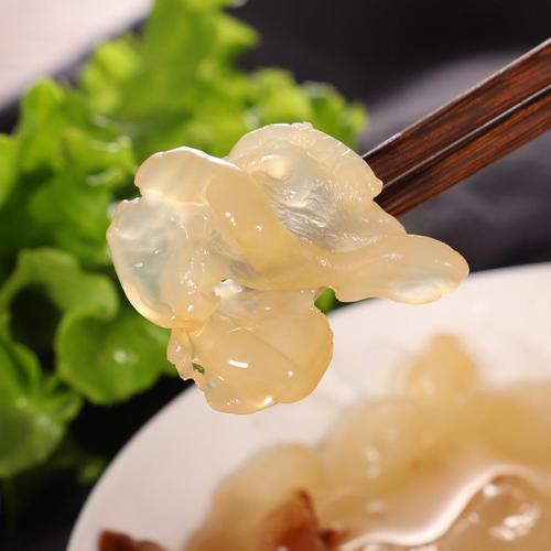 海蜇花是什么
