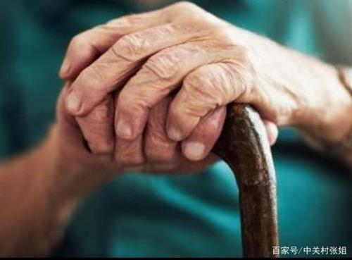 不会照顾人表达的成语