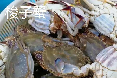 飞蟹含碘高吗