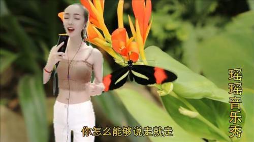 为什么你要一个人走完整版原唱