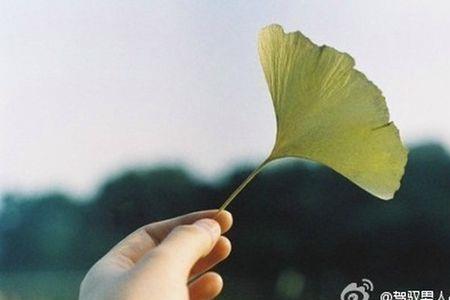 何惧忧伤繁体字