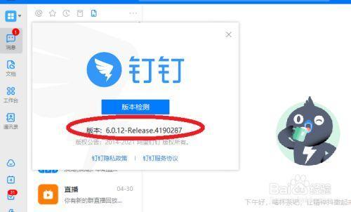 钉钉为什么看不了