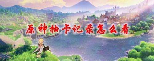 原神苹果如何查询抽奖次数