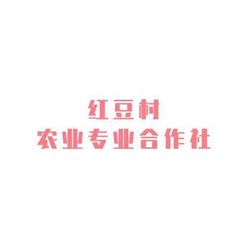 半情歌表达了什么