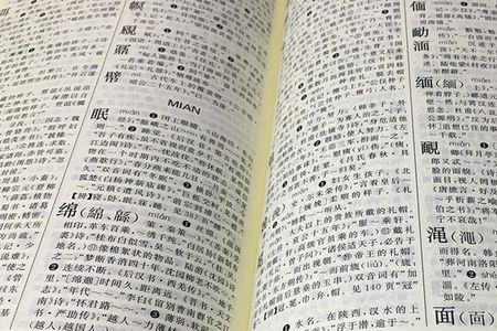 称字在新华字典第几页