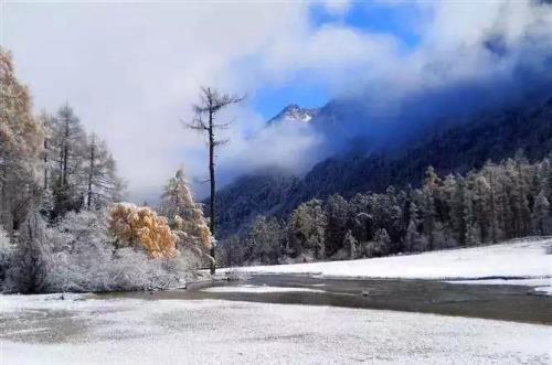 四川那些地方下雪了