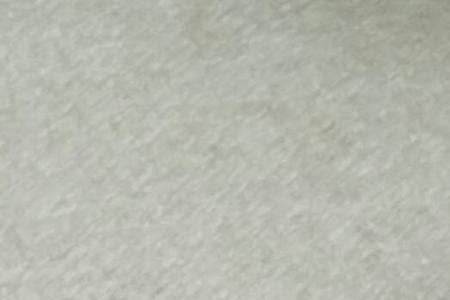 咬毛线的虫子什么样