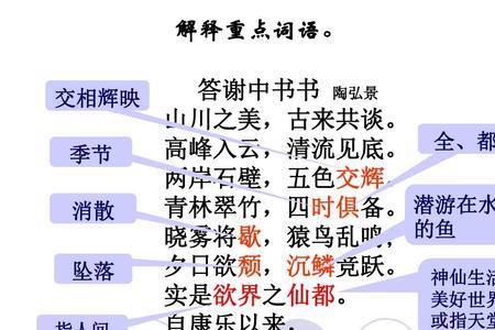 答谢中书书议论句是哪一句
