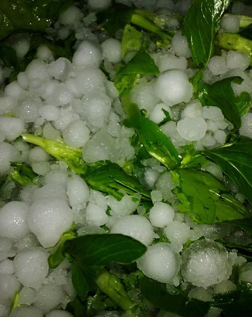 冰雹一般发生在什么季节