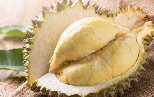 为什么突然觉得榴莲不臭了