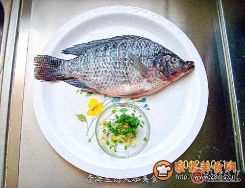 新鲜的阳鳞鲑鱼哪里多
