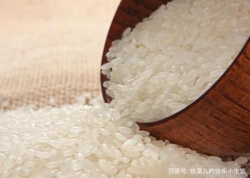 米生蛾子有什么办法处理
