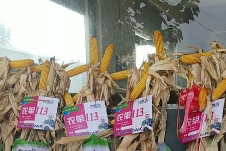 稼镁这化肥怎么样
