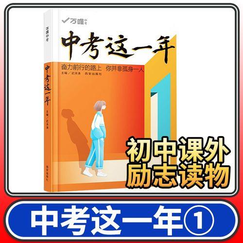 中考这一年这本书怎么样