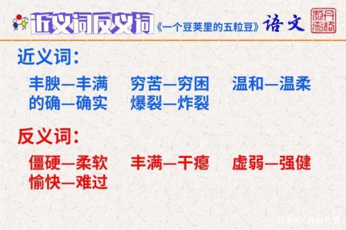 没豆了什么意思