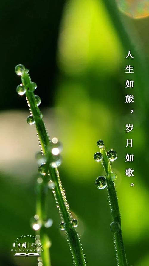岁月在游走是什么歌