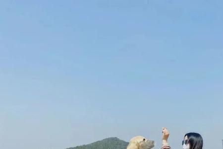 天府艺术公园可以带宠物吗