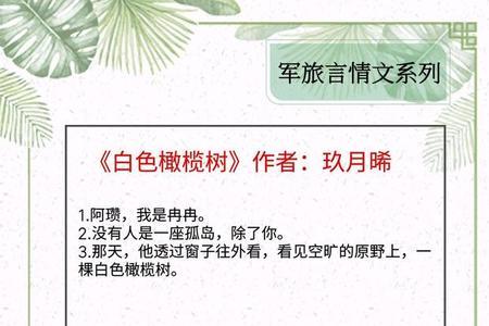 一个白一个本读什么
