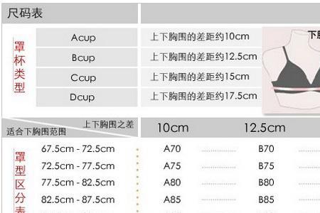 内衣85相当于什么码