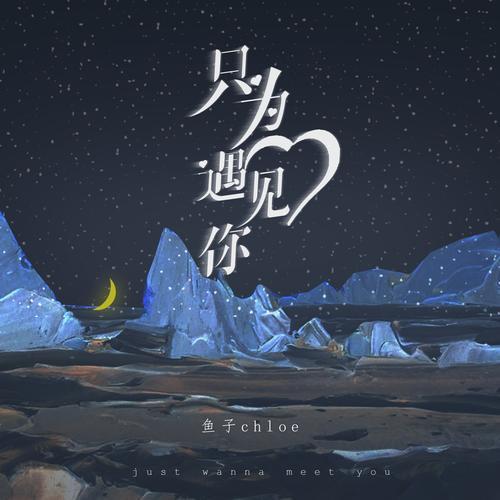 如果还能遇见你歌词是什么意思