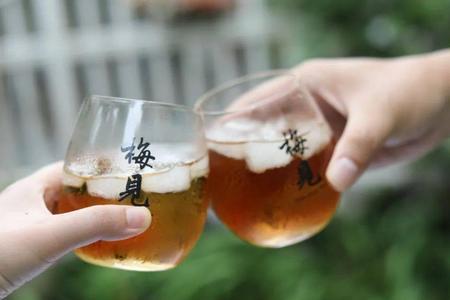 酒晕微酡琼杏颊的意思