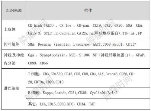 mds报告是什么