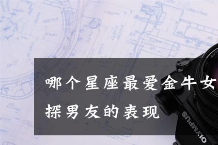 金牛男会试探你多久