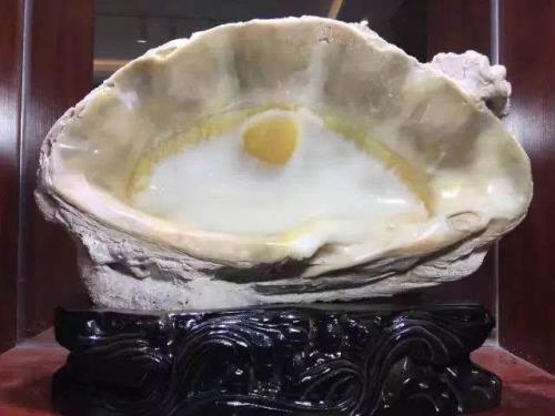 人造砗磲的特点