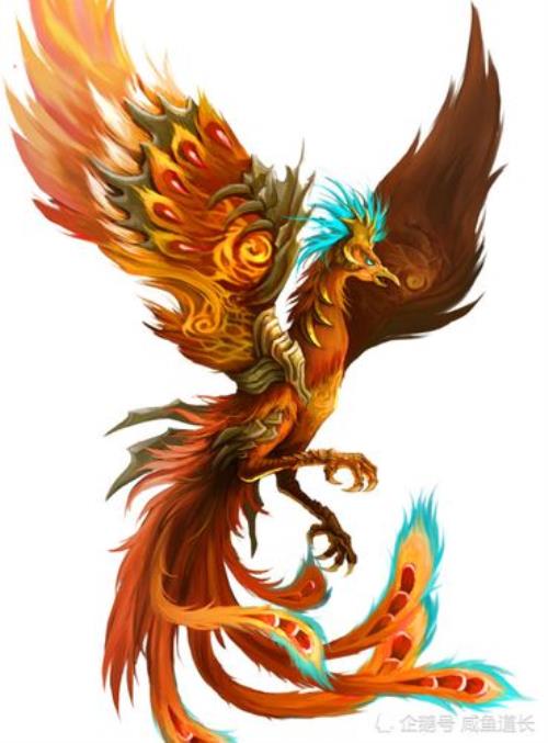 金乌朱雀凤凰哪个厉害