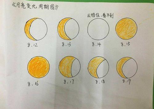 中班的宝宝一般几月份到几月份